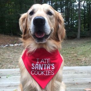 Dog Bandana - I Ate Santa's Cookies - Large